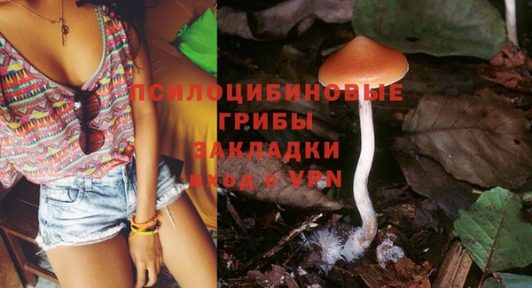 экстази Арсеньев
